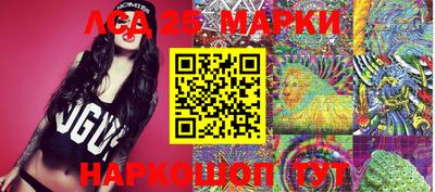 spice Кимры