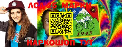 хмурый Кингисепп
