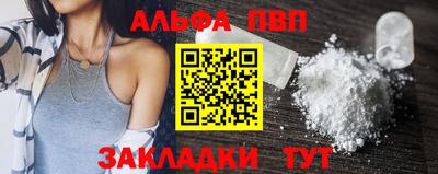 хмурый Кингисепп