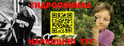 хмурый Кингисепп