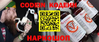 хмурый Кингисепп