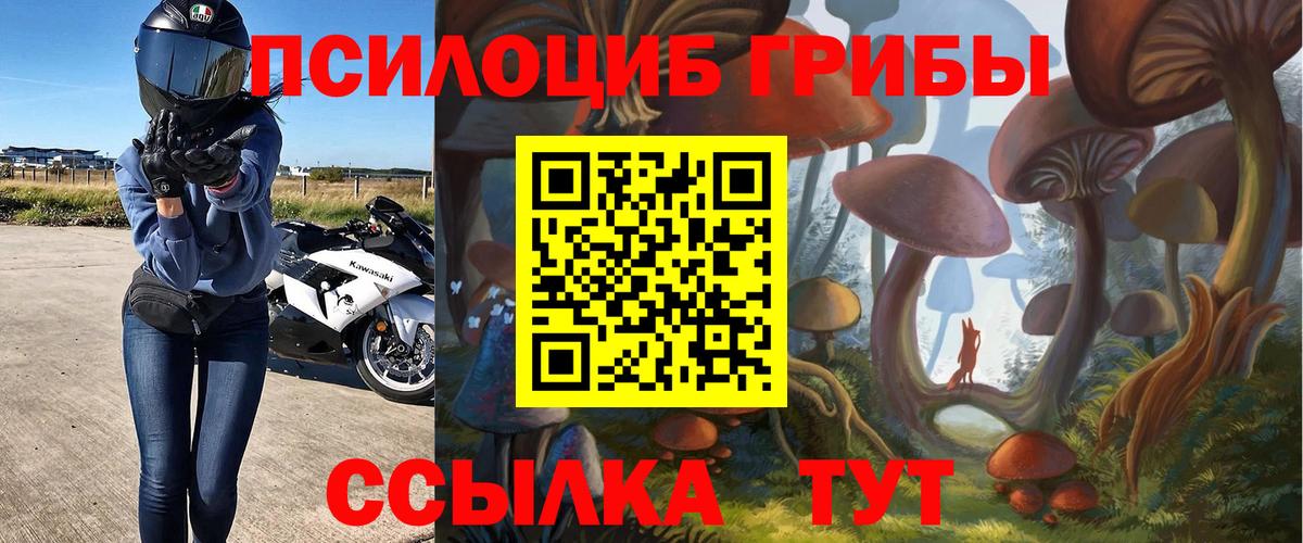 Псилоцибиновые грибы мицелий  Вход с VPN  Псилоцибиновые грибы мицелий  Кстово 