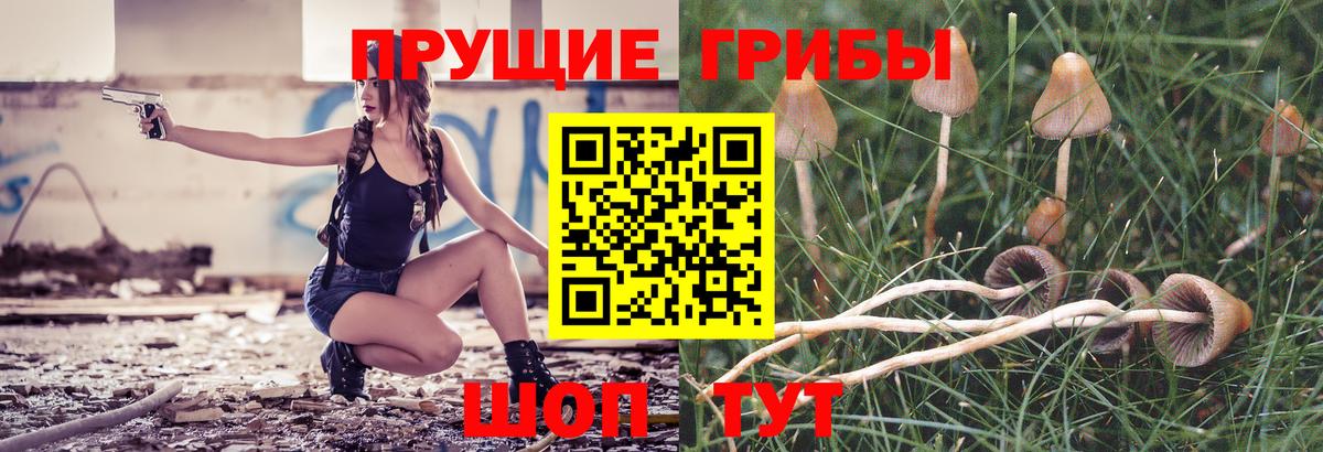Галлюциногенные грибы прущие грибы Кстово